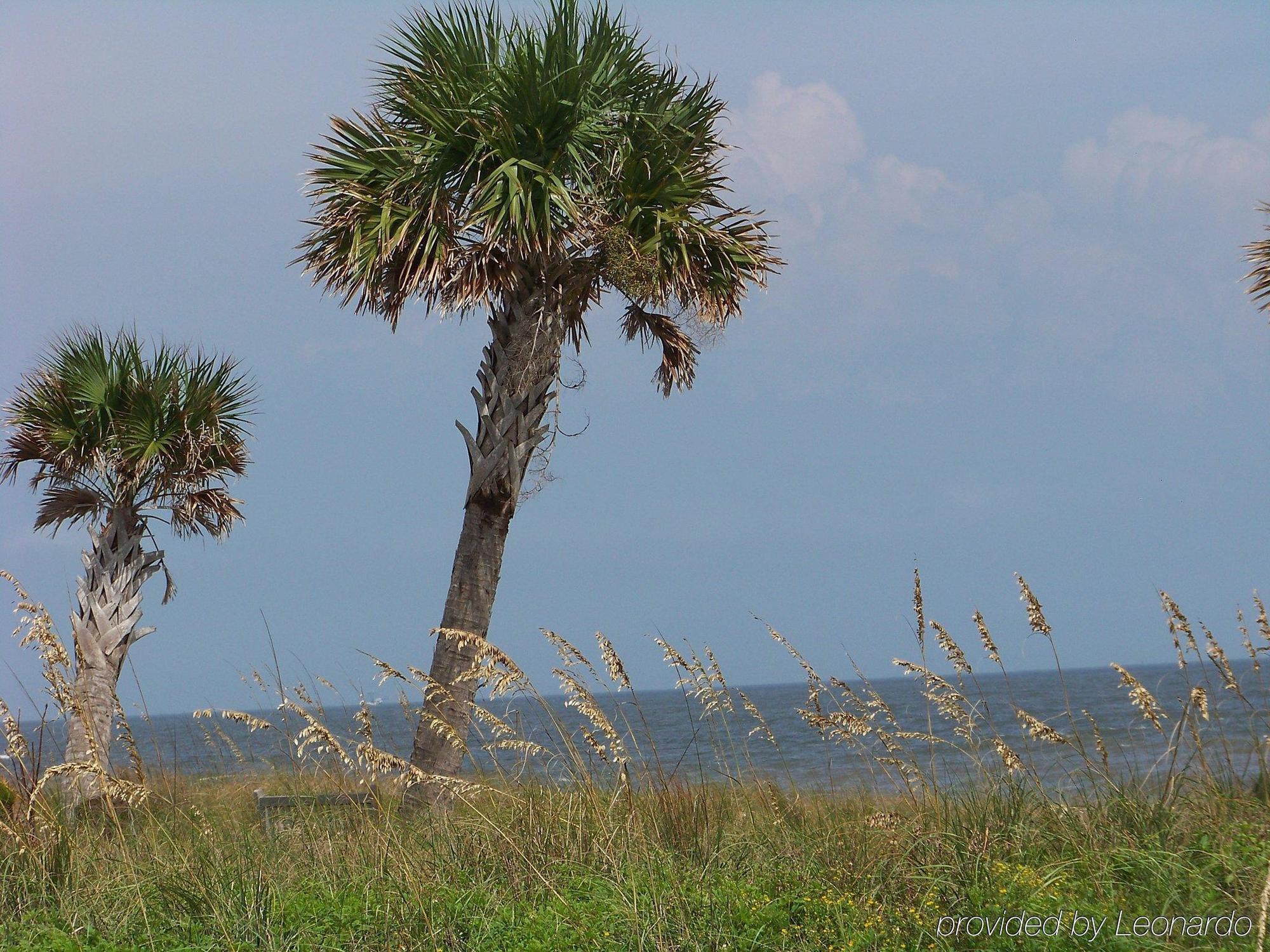 Holiday Inn Express Saint Simons Island By Ihg St. Simons Island Exteriör bild